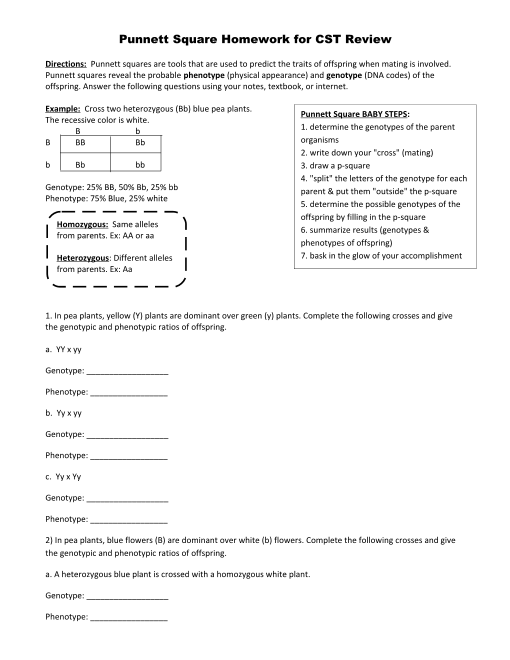 Punnett Square Homework for CST Review