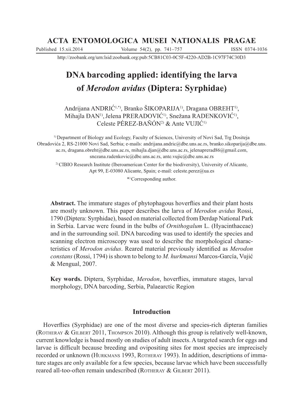 DNA Barcoding Applied: Identifying the Larva of Merodon Avidus (Diptera: Syrphidae)