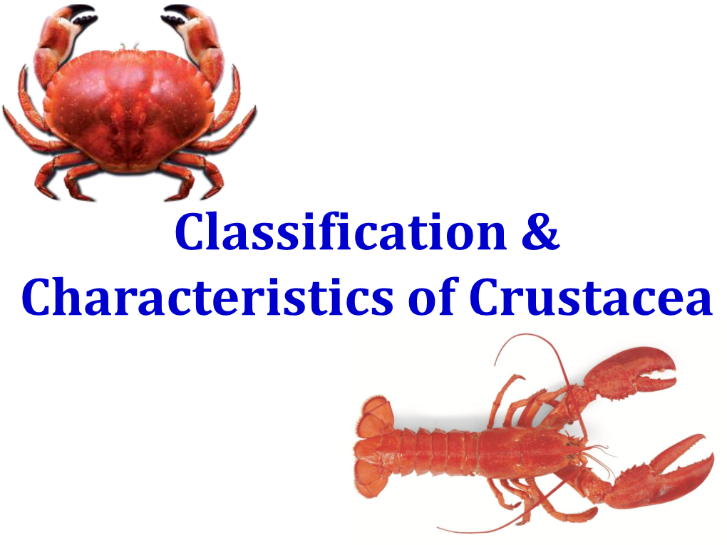 Classification & Characteristics of Crustacea