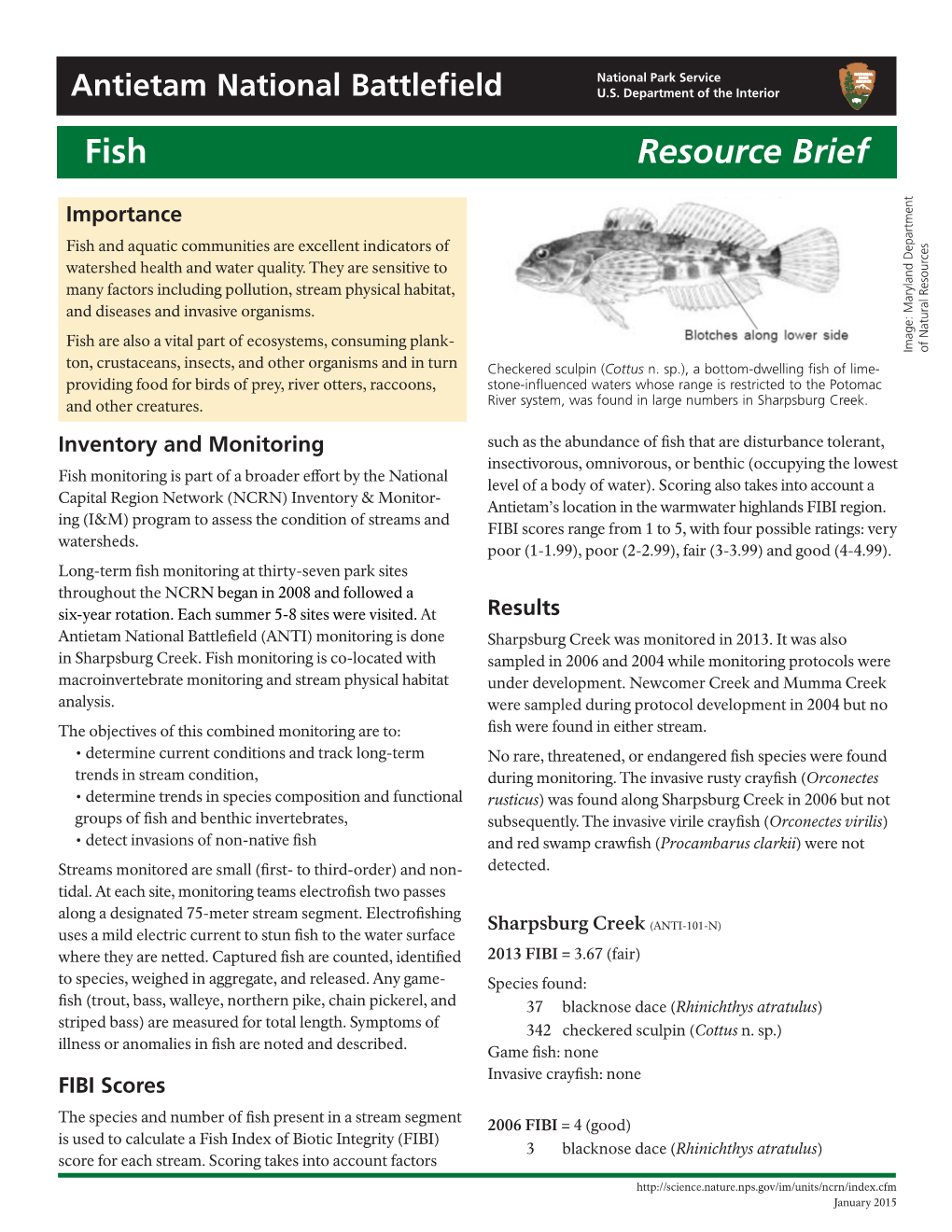 Fish Resource Brief