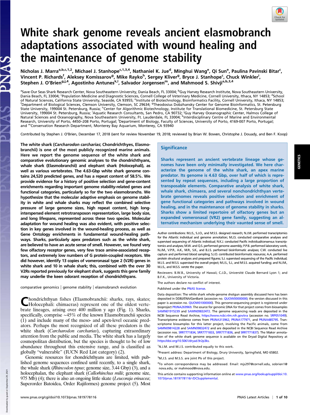 White Shark Genome Reveals Ancient Elasmobranch Adaptations Associated with Wound Healing and the Maintenance of Genome Stability