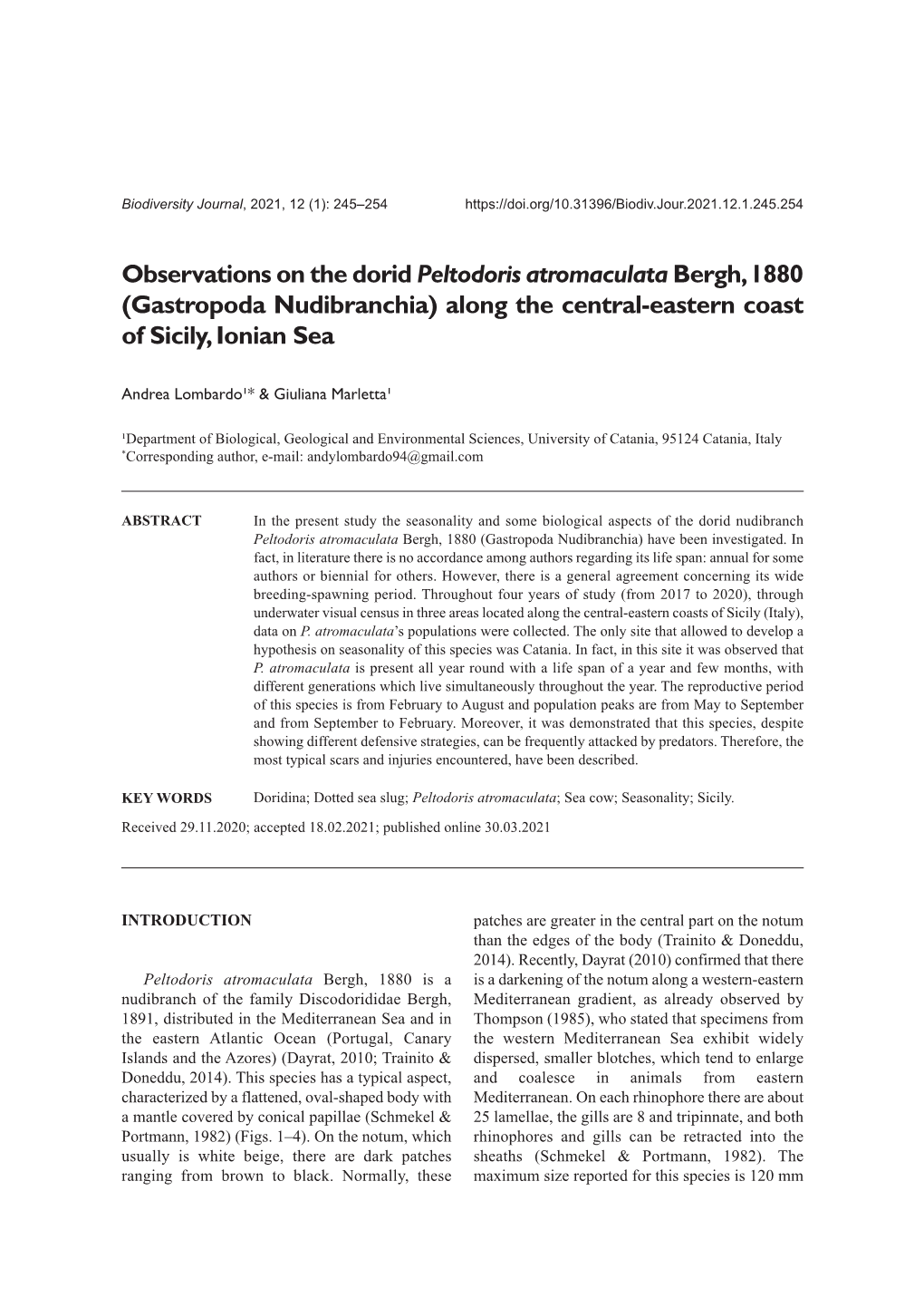 Observations on the Dorid Peltodoris Atromaculatabergh, 1880