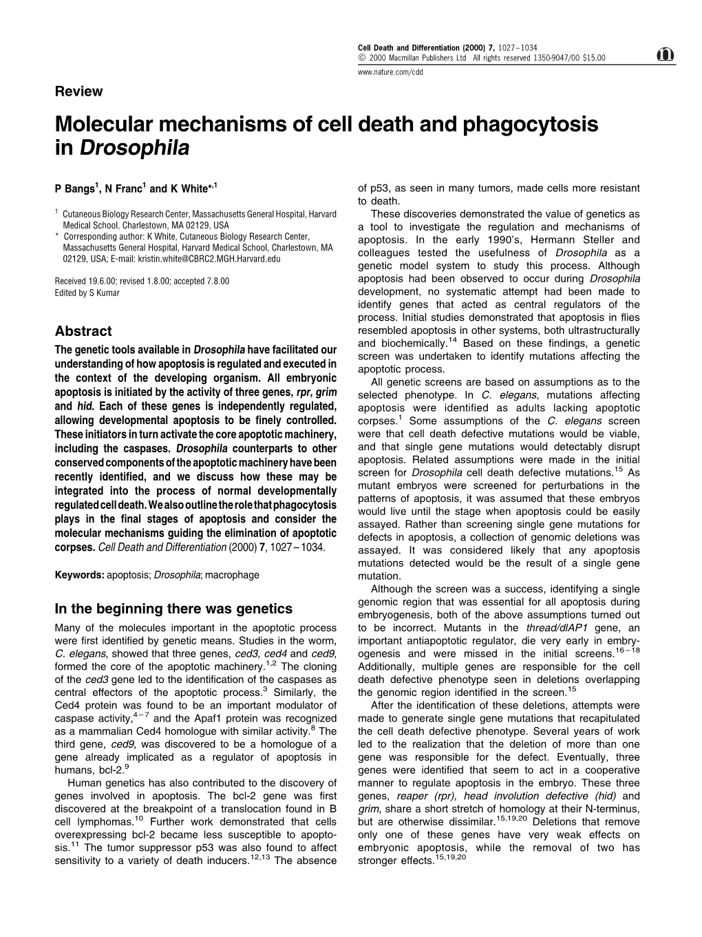 Molecular Mechanisms of Cell Death and Phagocytosis in Drosophila