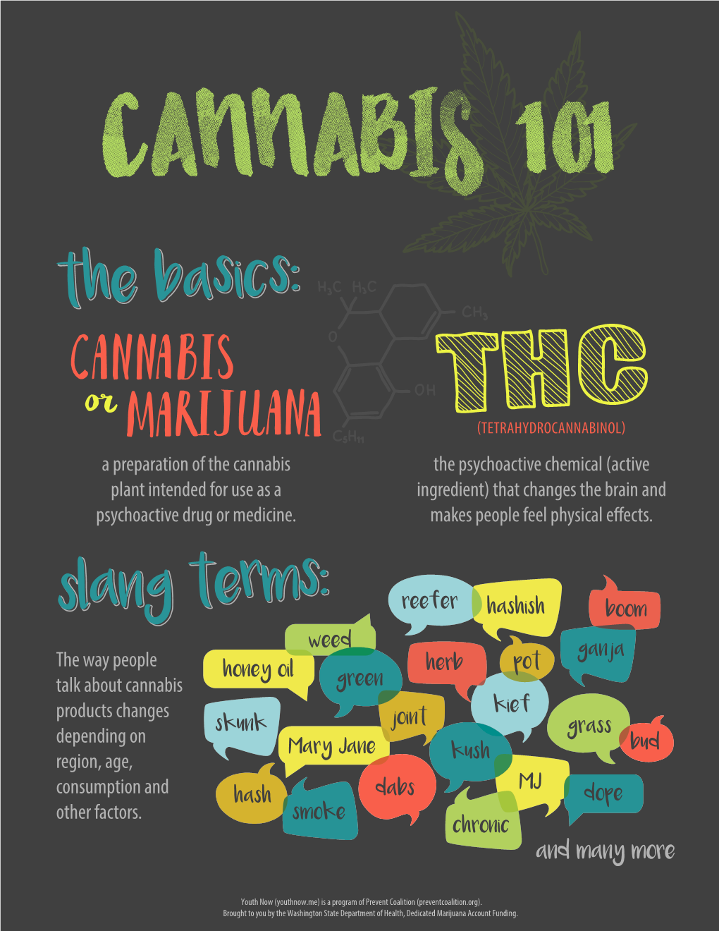 Cannabis 101