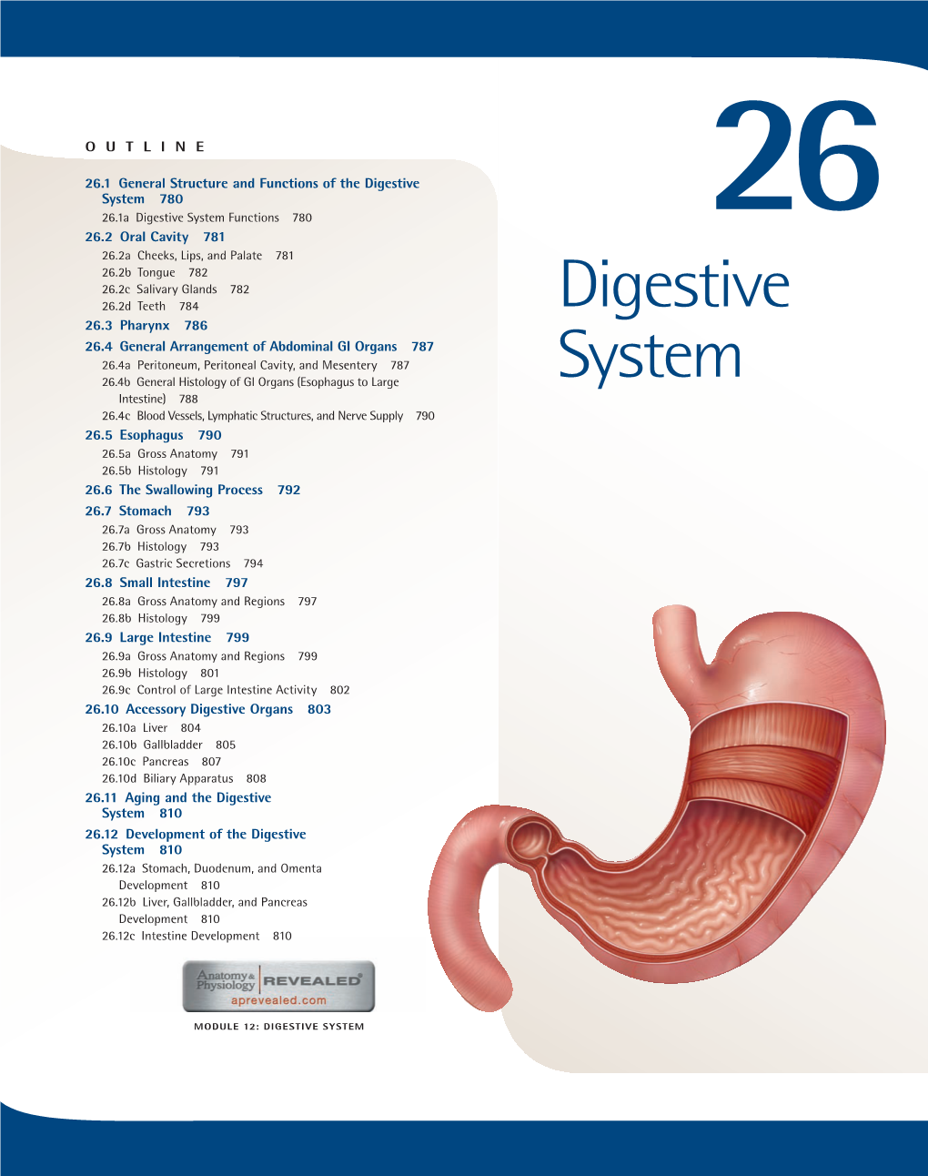 Digestive System