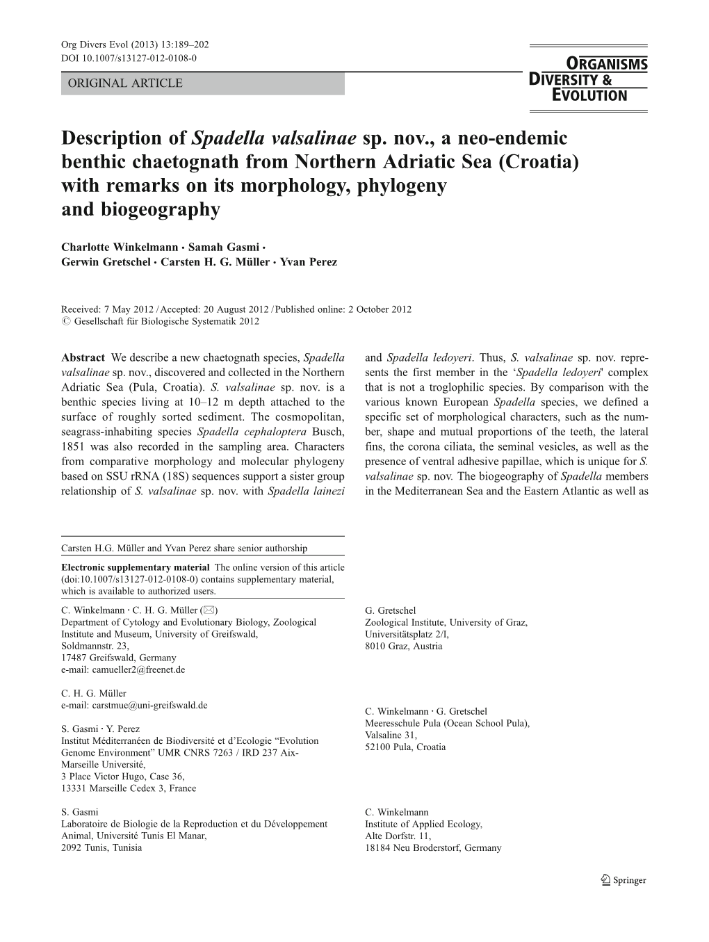 Description of Spadella Valsalinae Sp. Nov., a Neo-Endemic Benthic