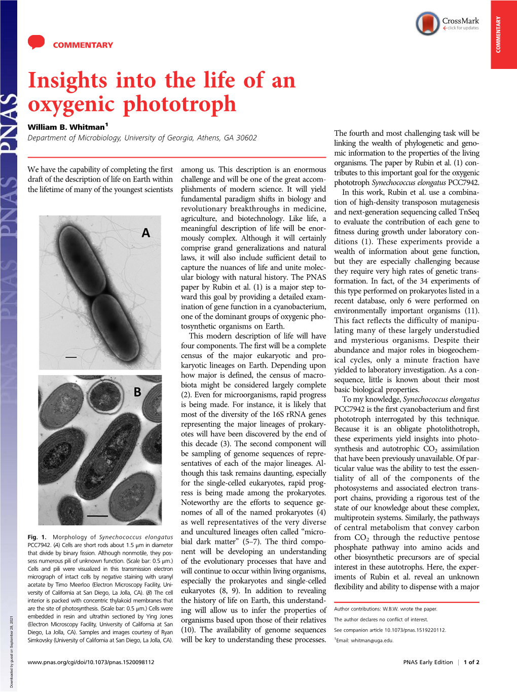 Insights Into the Life of an Oxygenic Phototroph William B