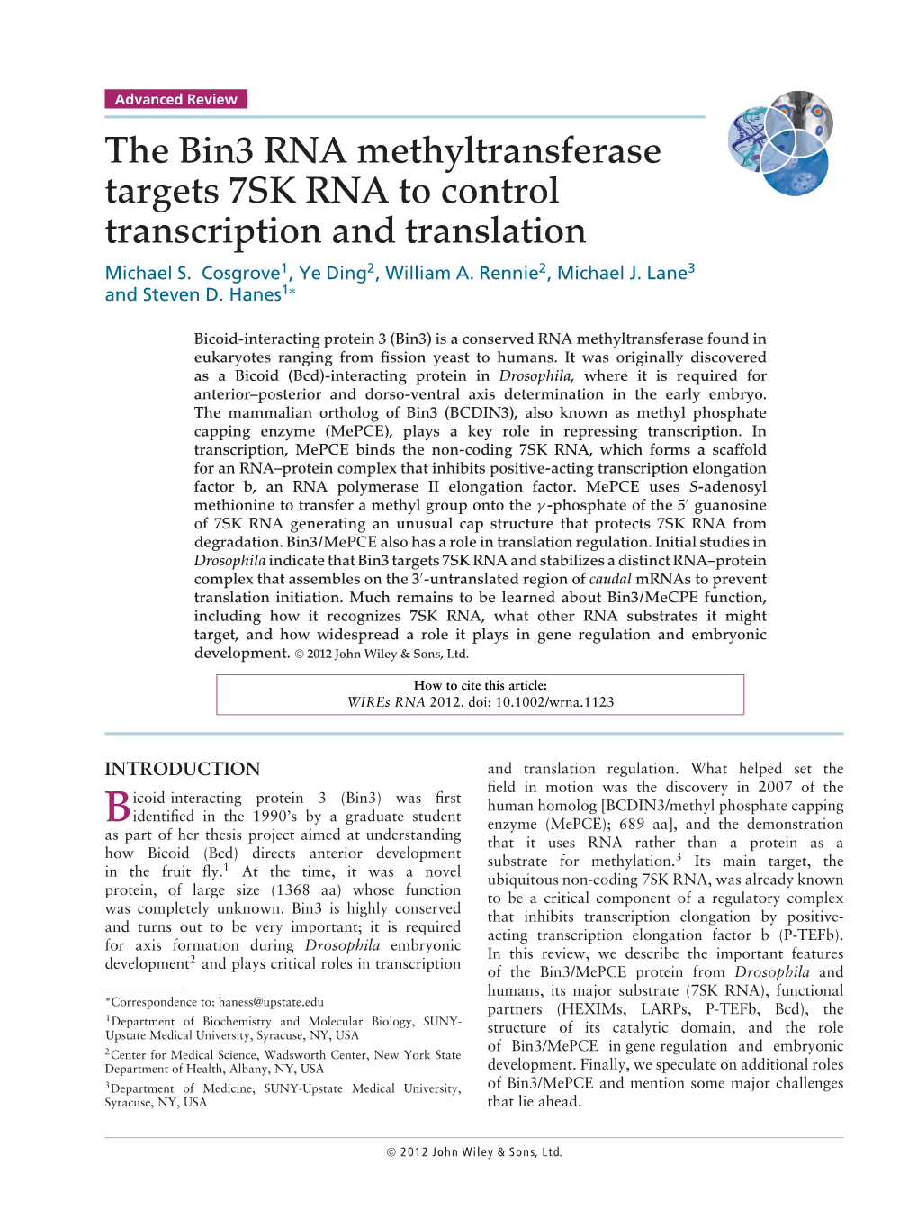 The Bin3 RNA Methyltransferase Targets 7SK RNA to Control Transcription and Translation Michael S