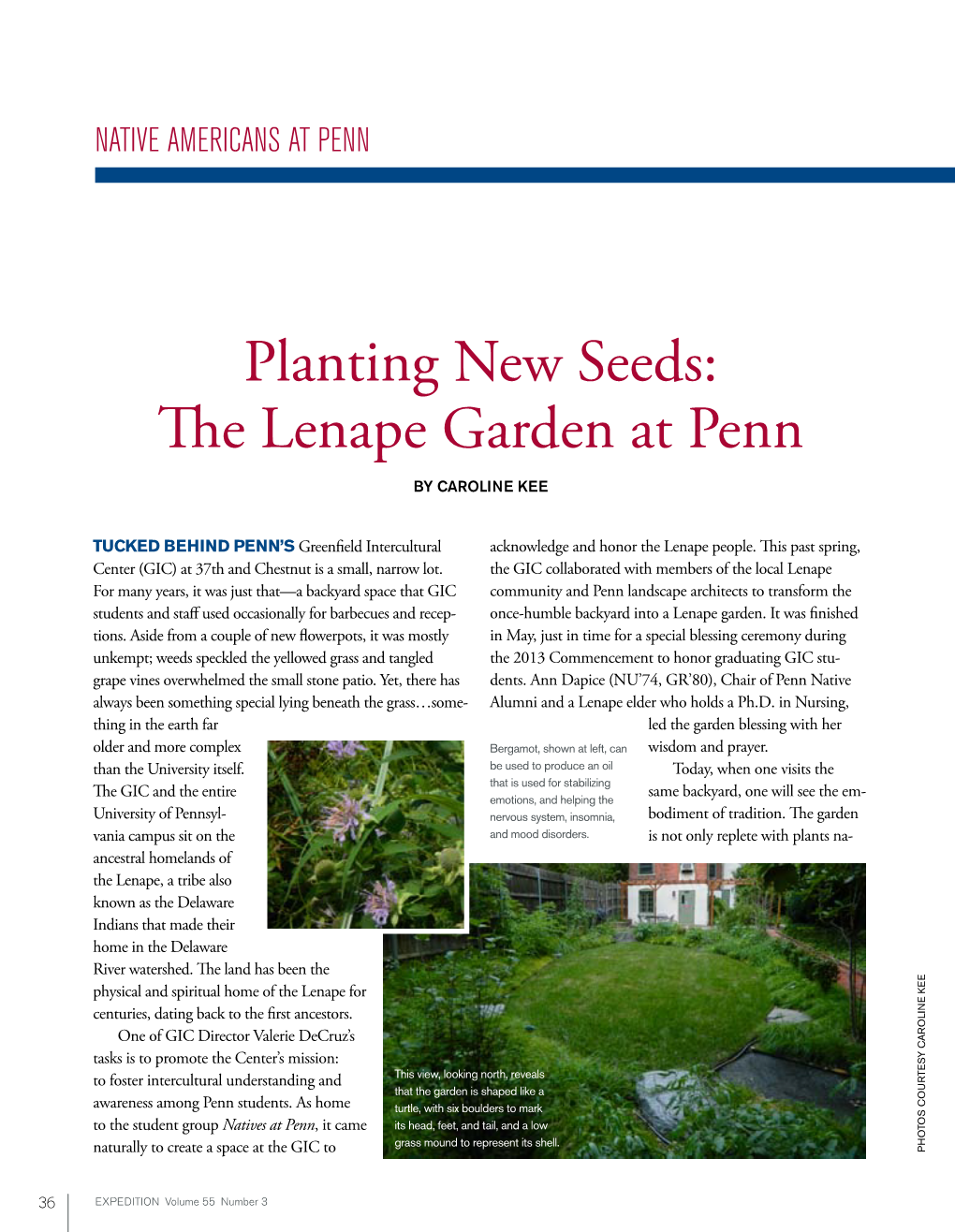 The Lenape Garden at Penn by Caroline Kee