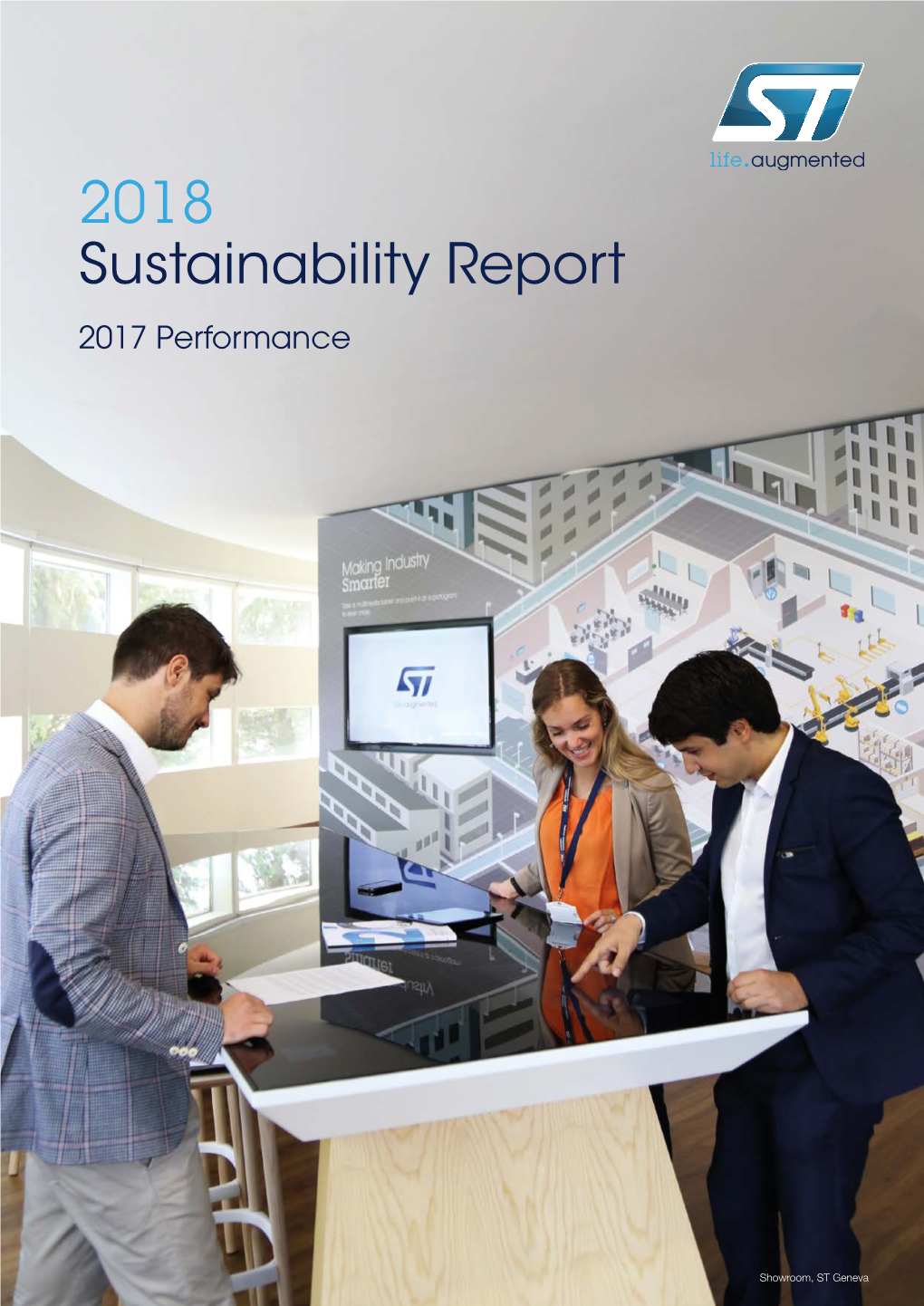 2018 Sustainability Report 2017 Performance