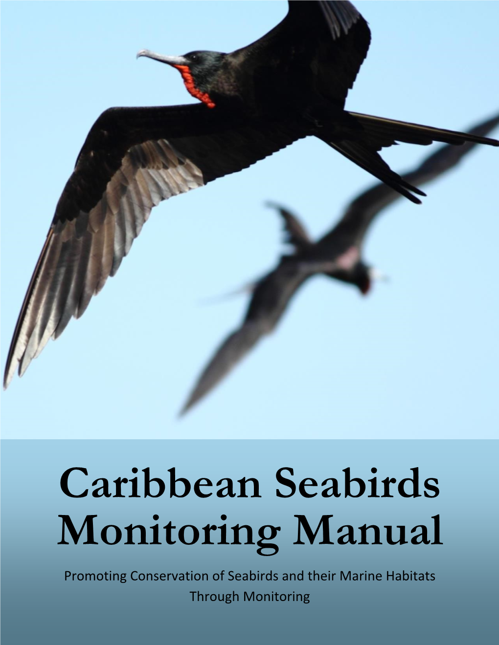 Caribbean Seabirds Monitoring Manual