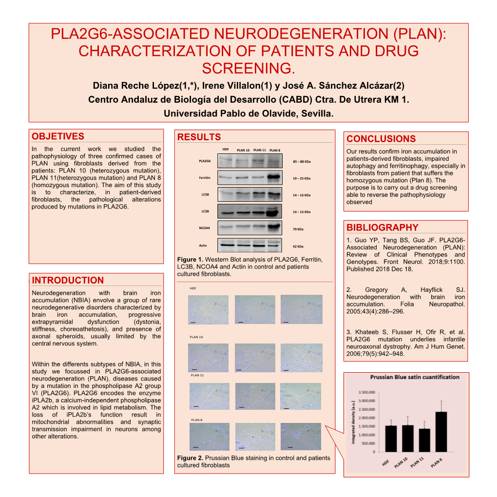 Pla2g6-Associated Neurodegeneration (Plan)