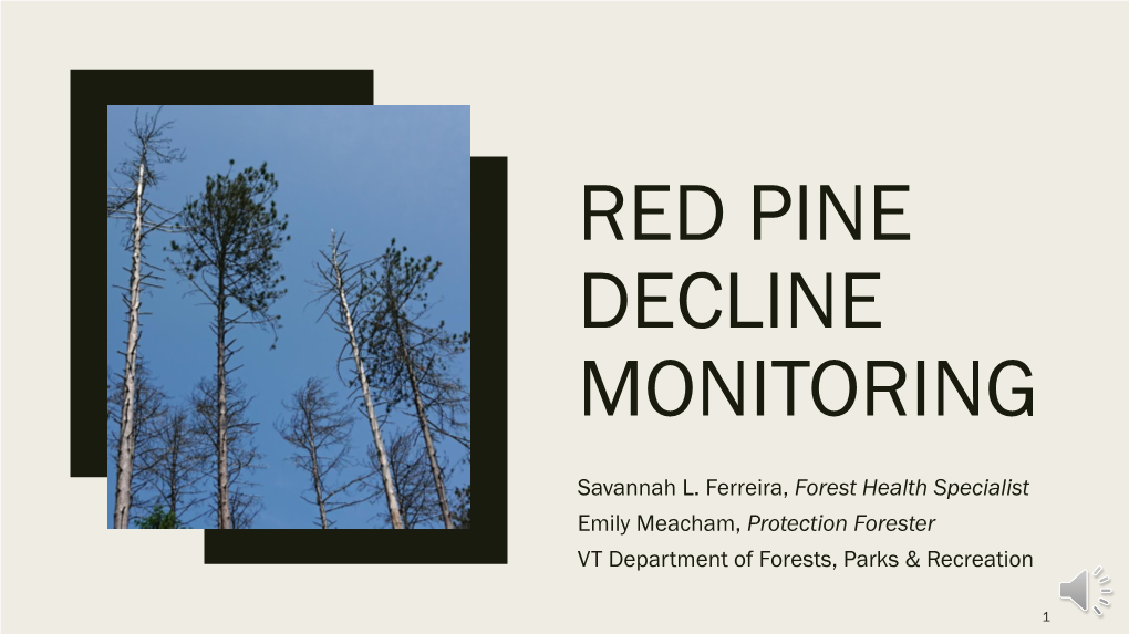Red Pine Decline Monitoring