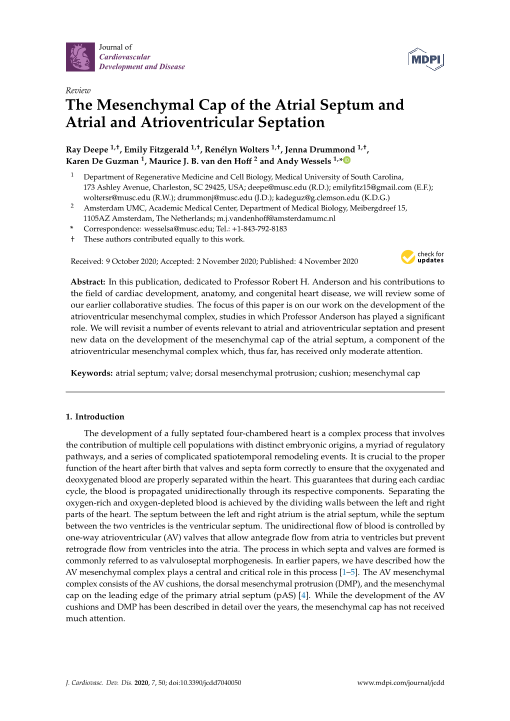 The Mesenchymal Cap of the Atrial Septum and Atrial and Atrioventricular Septation