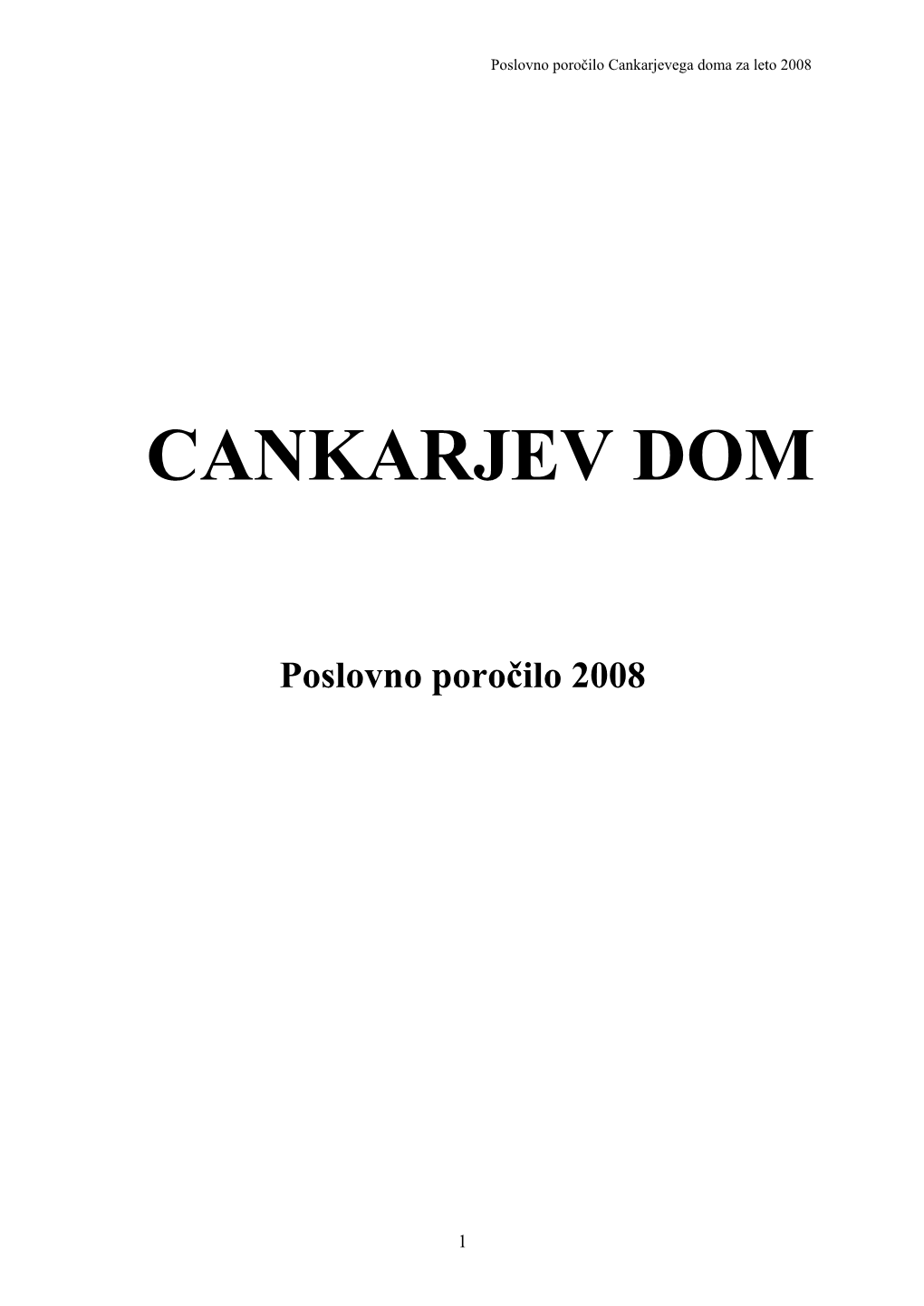 Poslovno Poročilo 2008