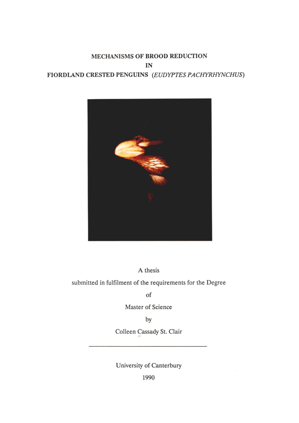 Mechanisms of Brood Reduction in Fiordland Crested Penguins (Eudyptes Pachyrhynchus)