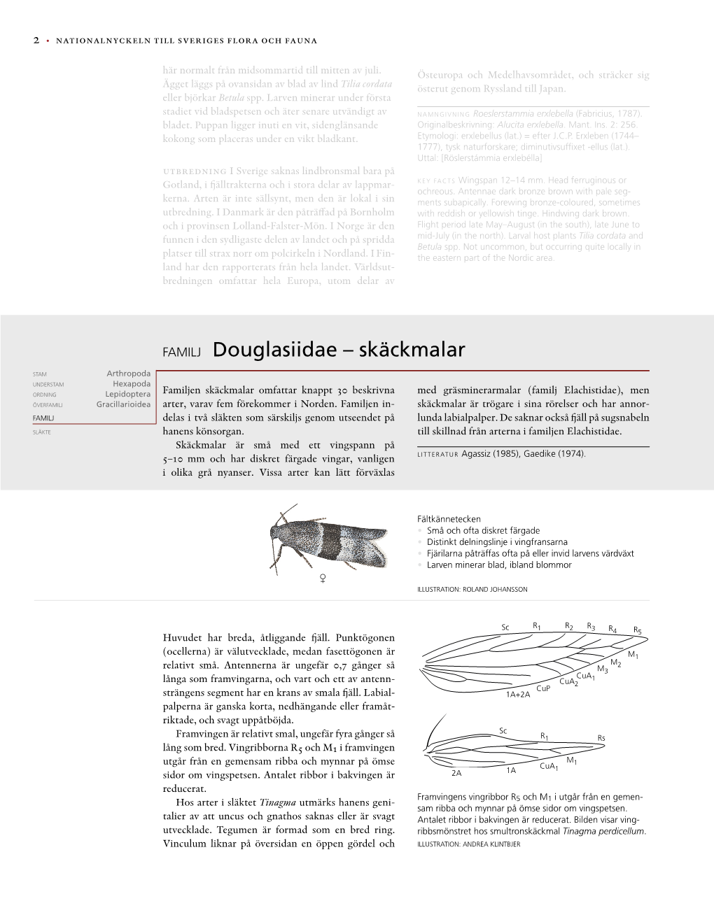 FAMILJ Douglasiidae – Skäckmalar