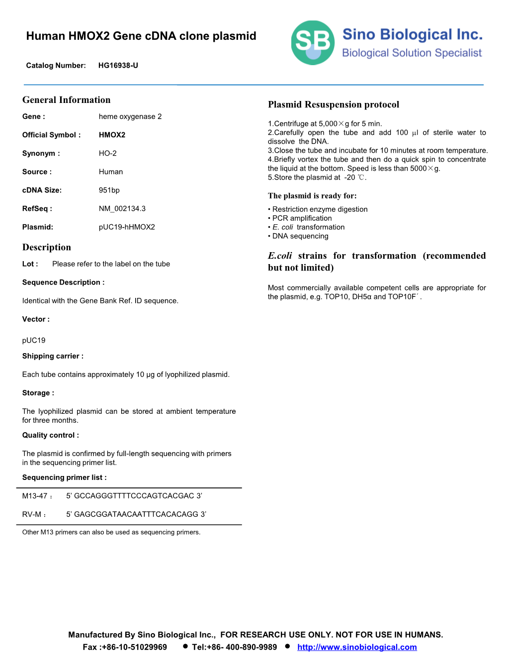 Human HMOX2 Gene Cdna Clone Plasmid