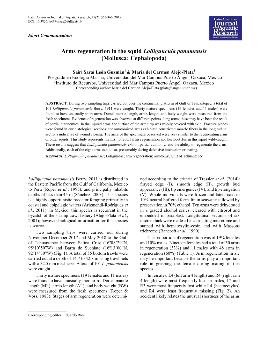 Arms Regeneration in the Squid Lolliguncula Panamensis (Mollusca: Cephalopoda)