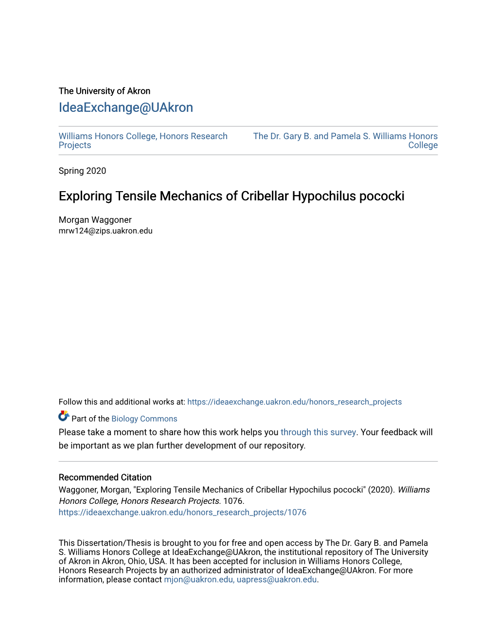 Exploring Tensile Mechanics of Cribellar Hypochilus Pococki
