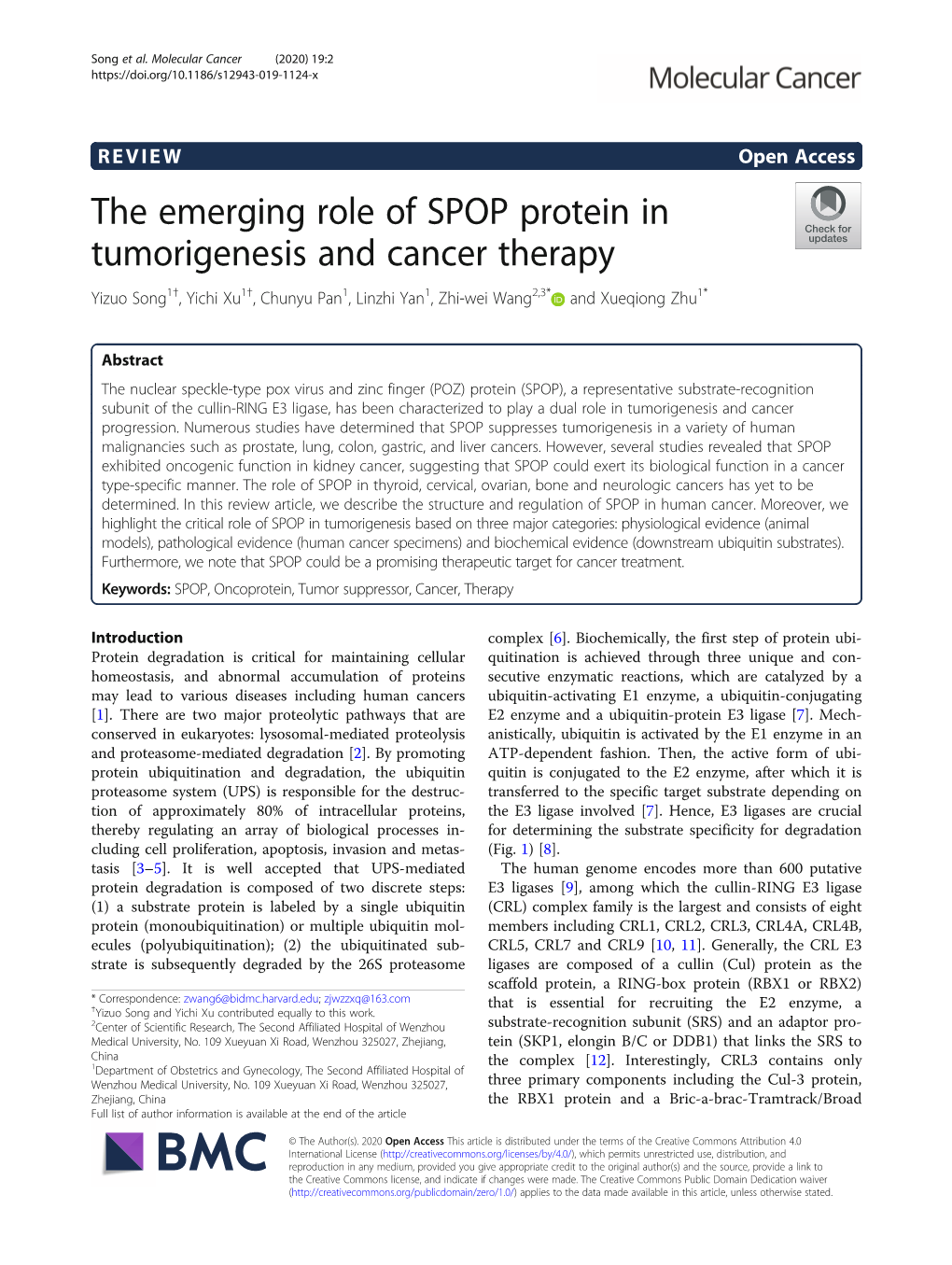 The Emerging Role of SPOP Protein in Tumorigenesis and Cancer Therapy Yizuo Song1†, Yichi Xu1†, Chunyu Pan1, Linzhi Yan1, Zhi-Wei Wang2,3* and Xueqiong Zhu1*