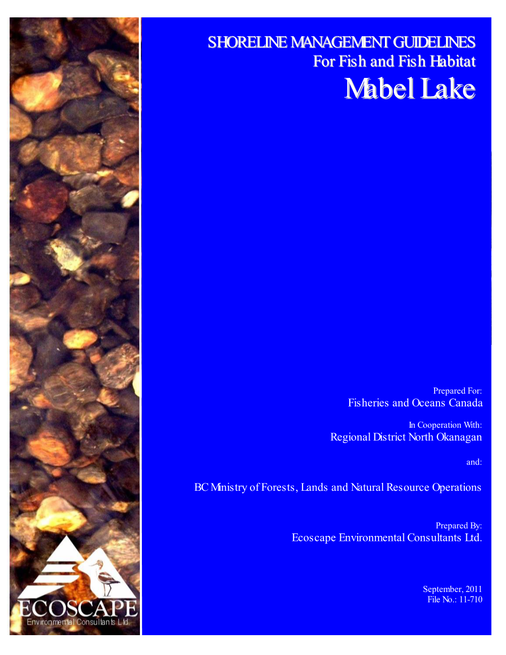 Mabel Lake Shoreline Management