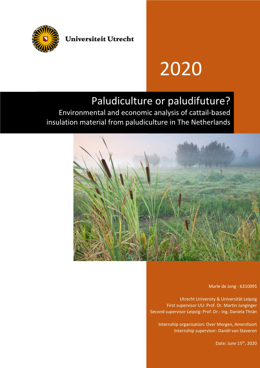 Paludiculture Or Paludifuture? Environmental and Economic Analysis of Cattail-Based Insulation Material from Paludiculture in the Netherlands