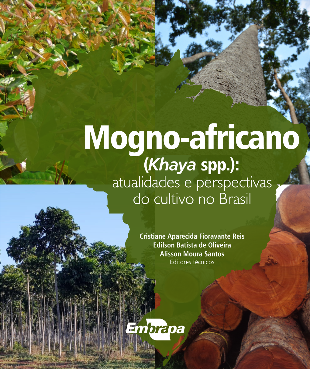 Mogno-Africano (Khaya Spp.): Atualidades E Perspectivas Do Cultivo No Brasil