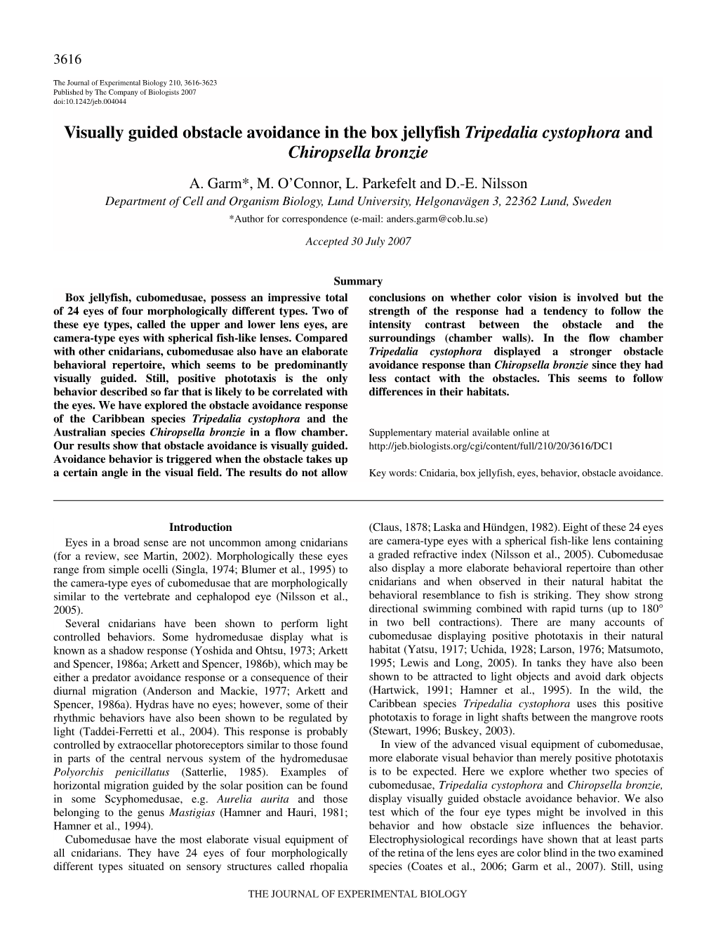 Visually Guided Obstacle Avoidance in the Box Jellyfish Tripedalia Cystophora and Chiropsella Bronzie A