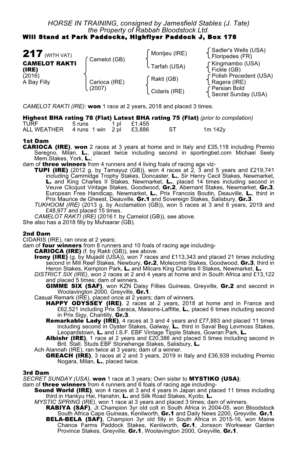 HORSE in TRAINING, Consigned by Jamesfield Stables (J