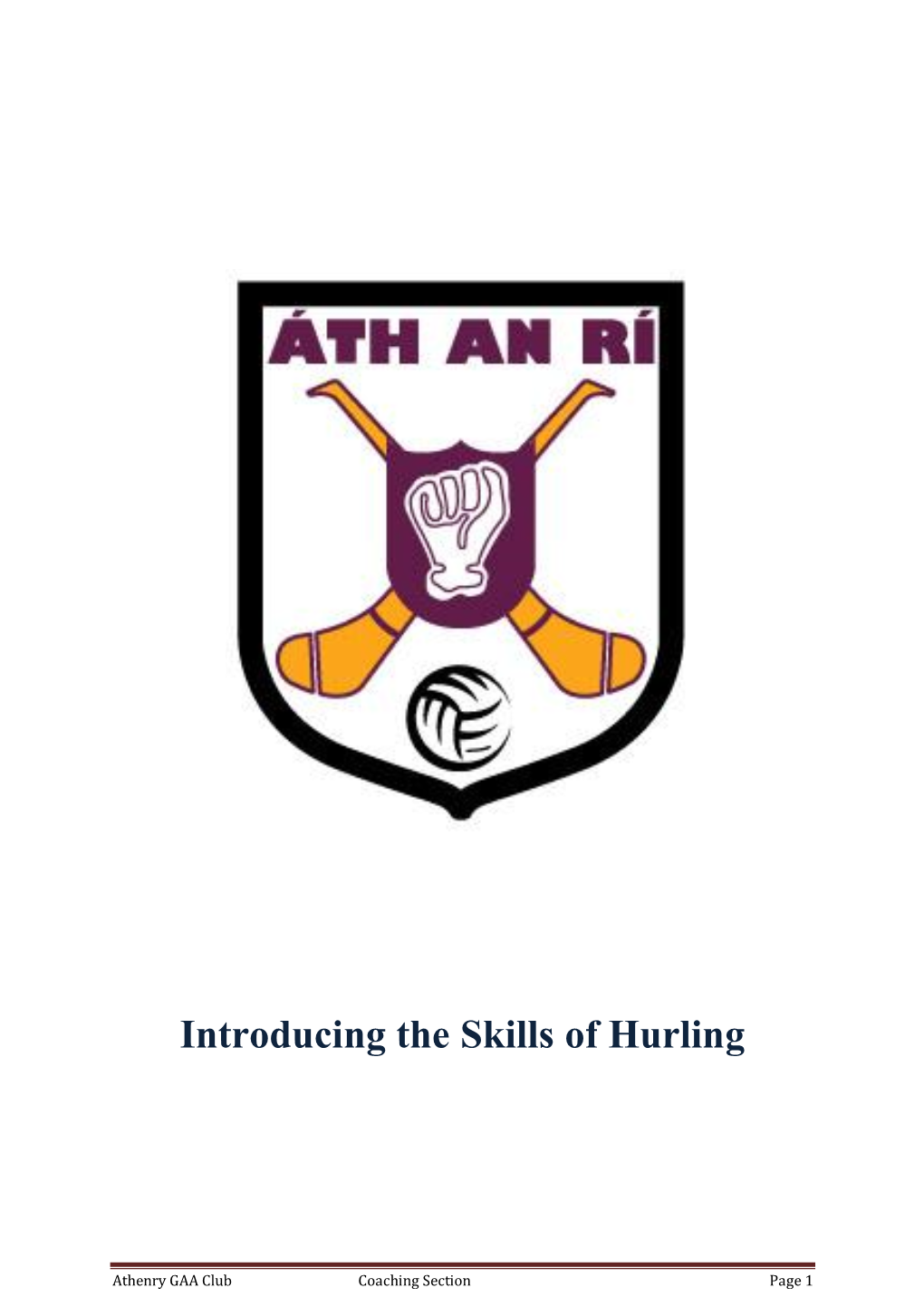 Introducing the Skills of Hurling