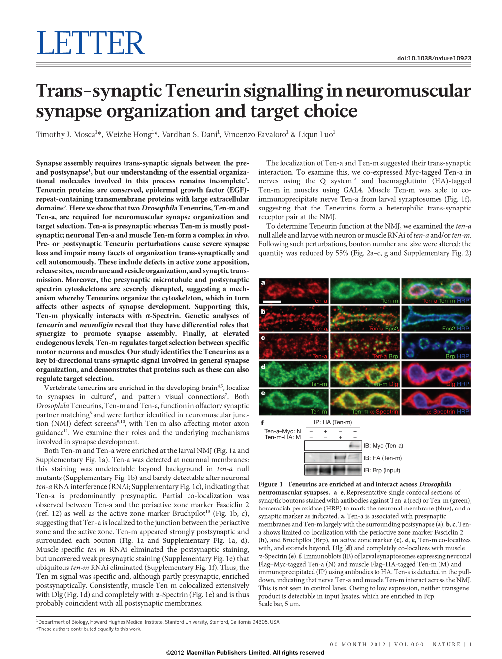 Trans-Synaptic Teneurin Signalling in Neuromuscular Synapse Organization and Target Choice