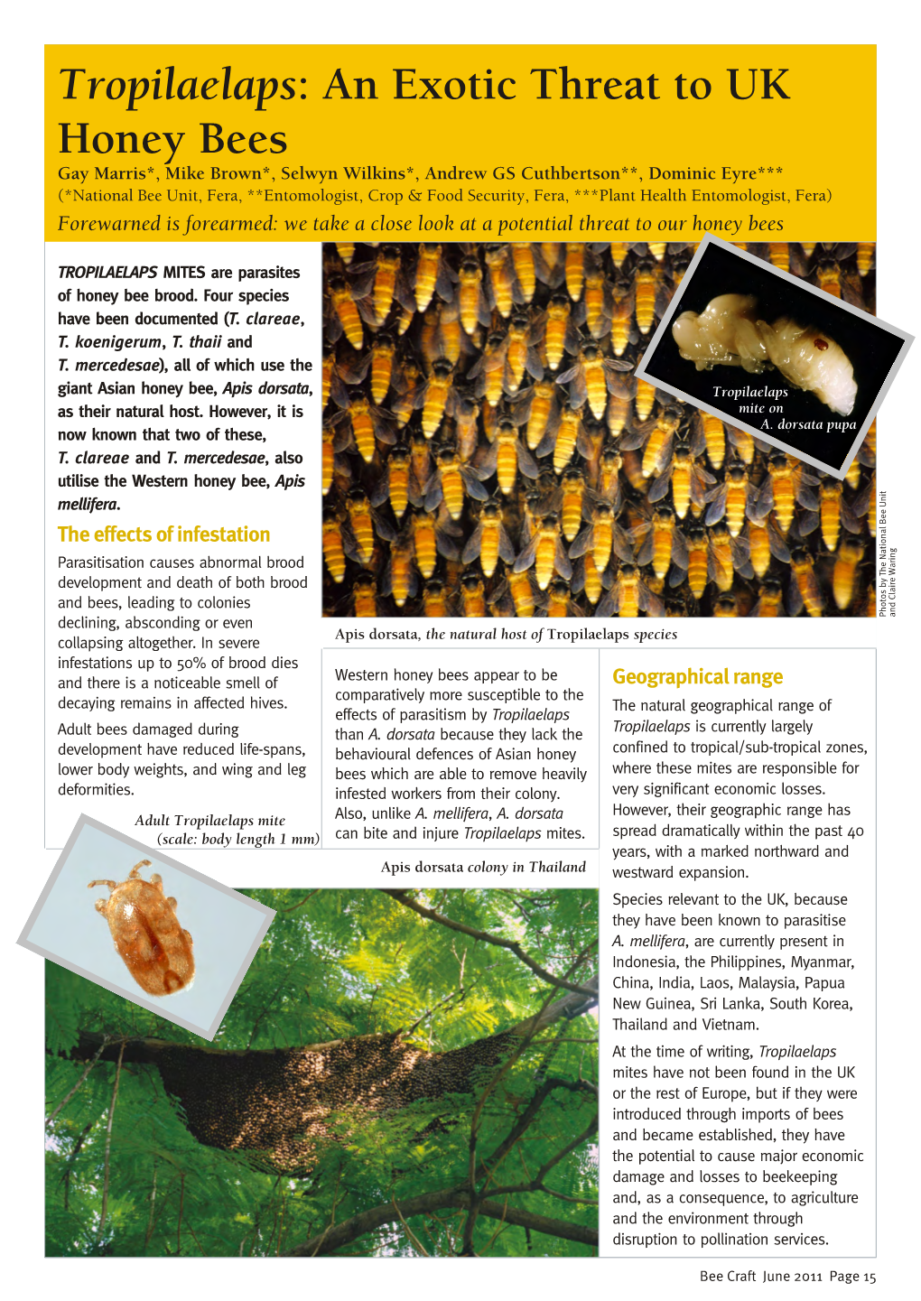 Tropilaelaps: an Exotic Threat to UK Honey Bees