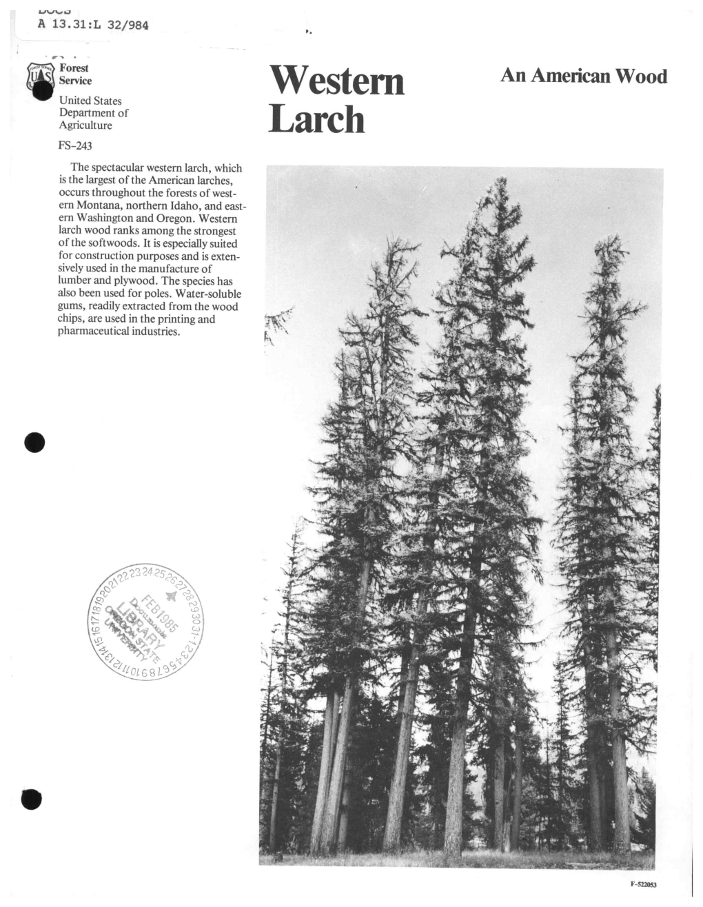 Western Larch, Which Is the Largest of the American Larches, Occurs Throughout the Forests of West- Em Montana, Northern Idaho, and East- Em Washington and Oregon