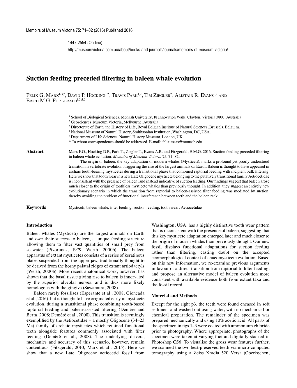 Suction Feeding Preceded Filtering in Baleen Whale Evolution