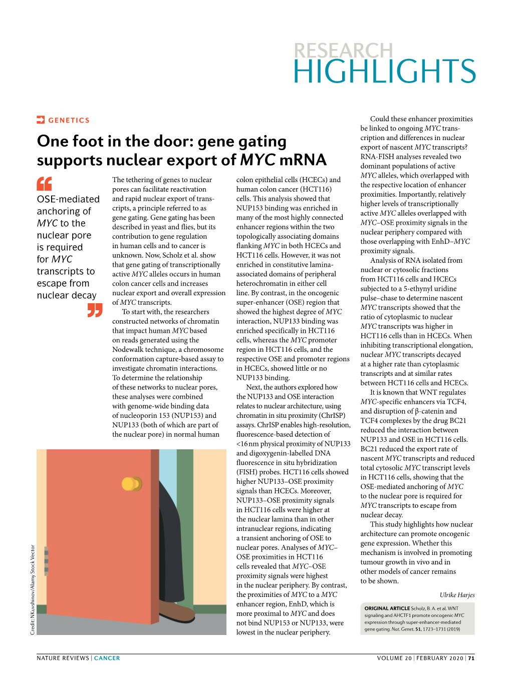 One Foot in the Door: Gene Gating Supports Nuclear Export of MYC