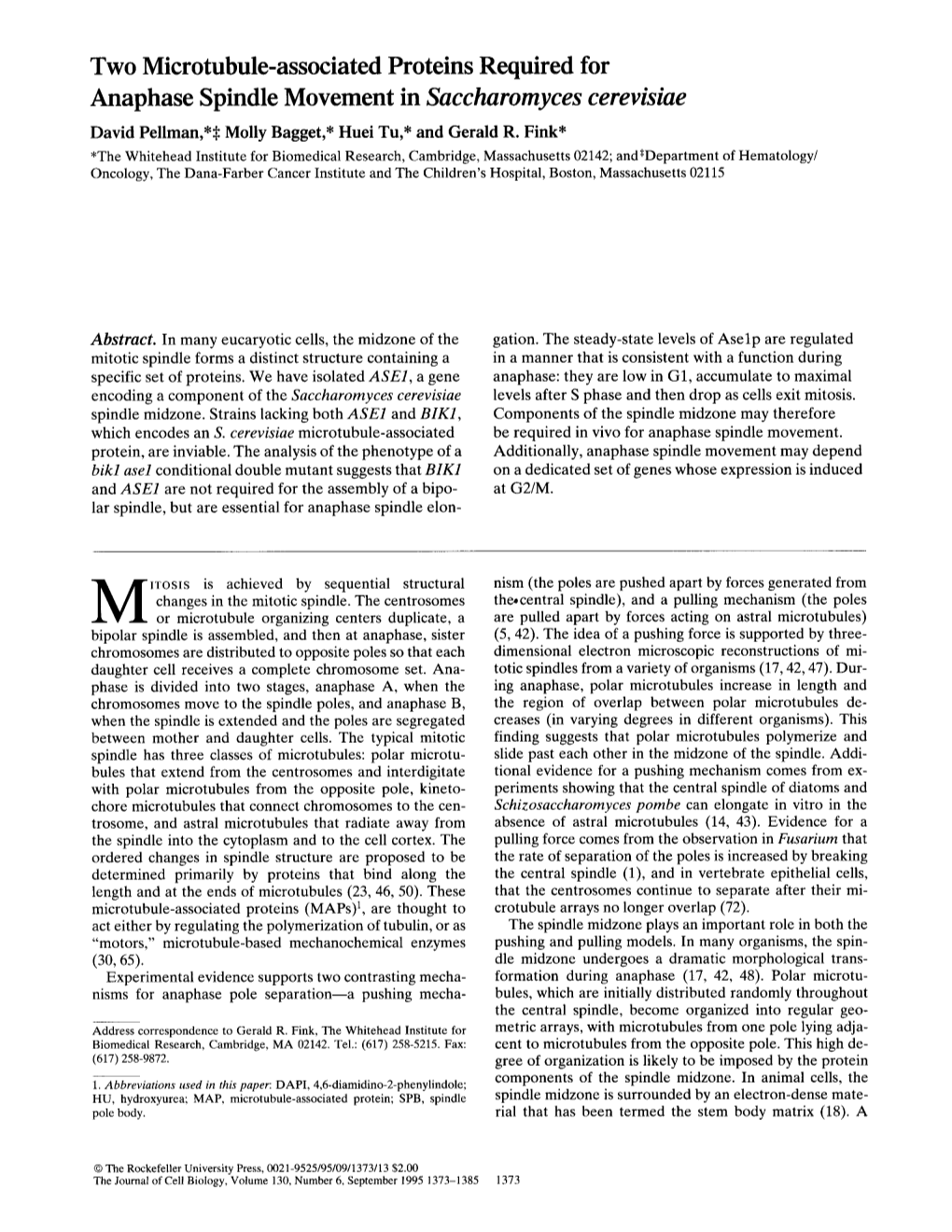 Two Microtubule-Associated Proteins Required for Anaphase Spindle Movement in Saccharomyces Cerevisiae David Pellman,*:~ Molly Bagget,* Huei Tu,* and Gerald R