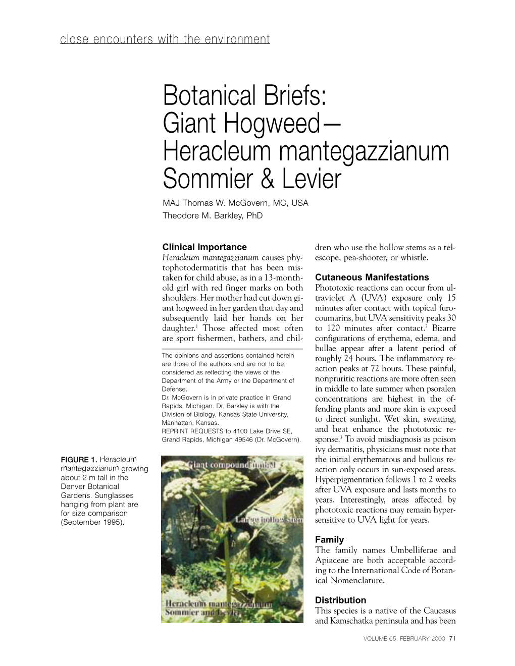 Botanical Briefs: Giant Hogweed— Heracleum Mantegazzianum Sommier & Levier MAJ Thomas W