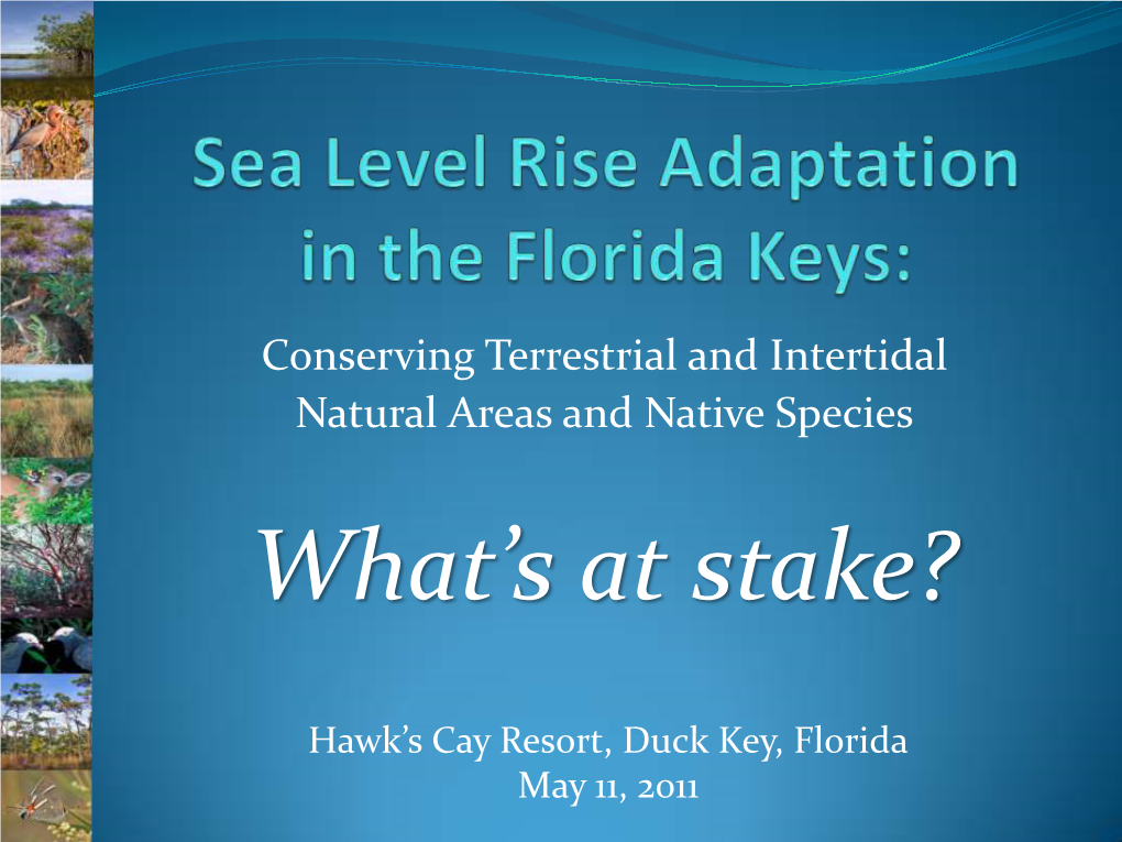 Sea Level Rise Adaptation in the Florida Keys