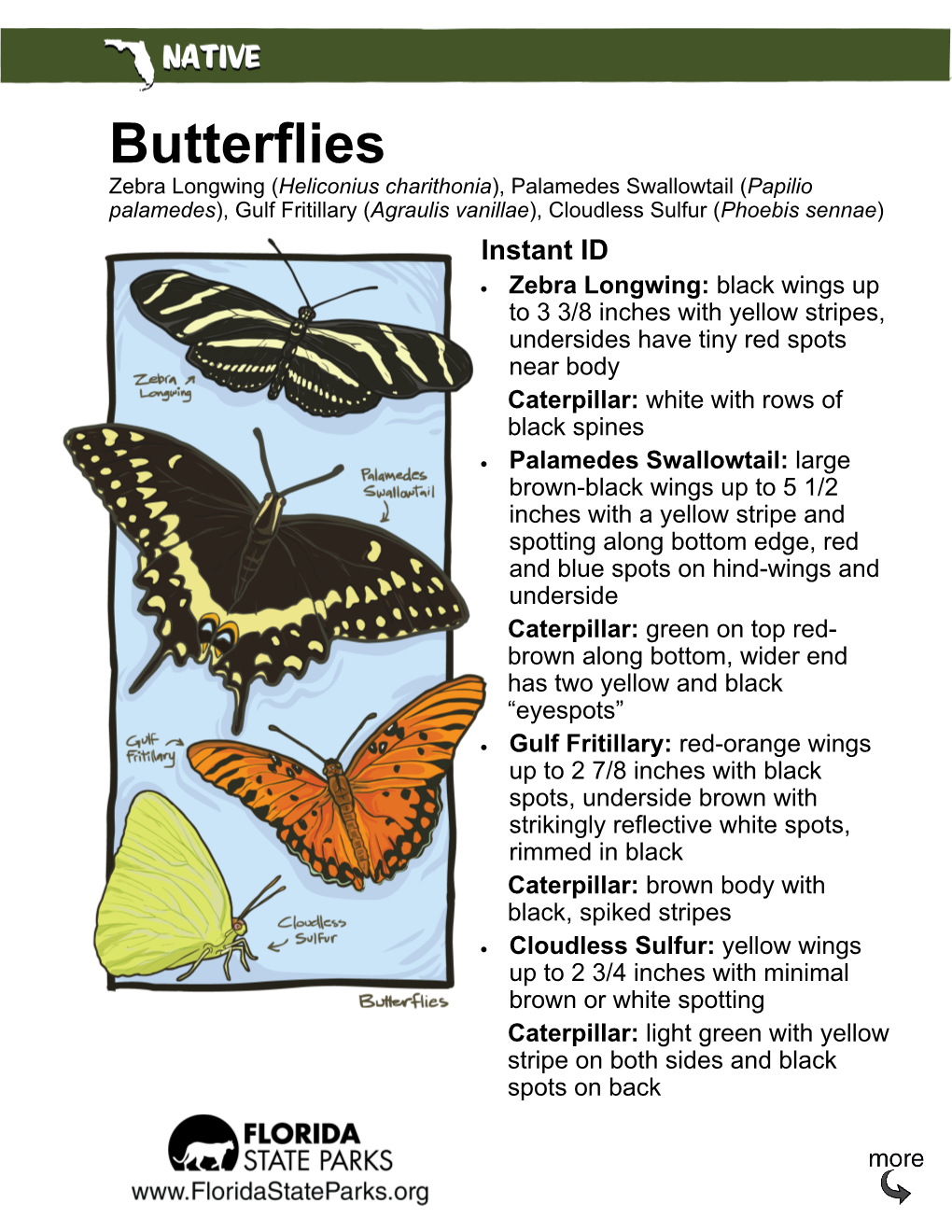 Butterflies Critter Sheet.Pdf