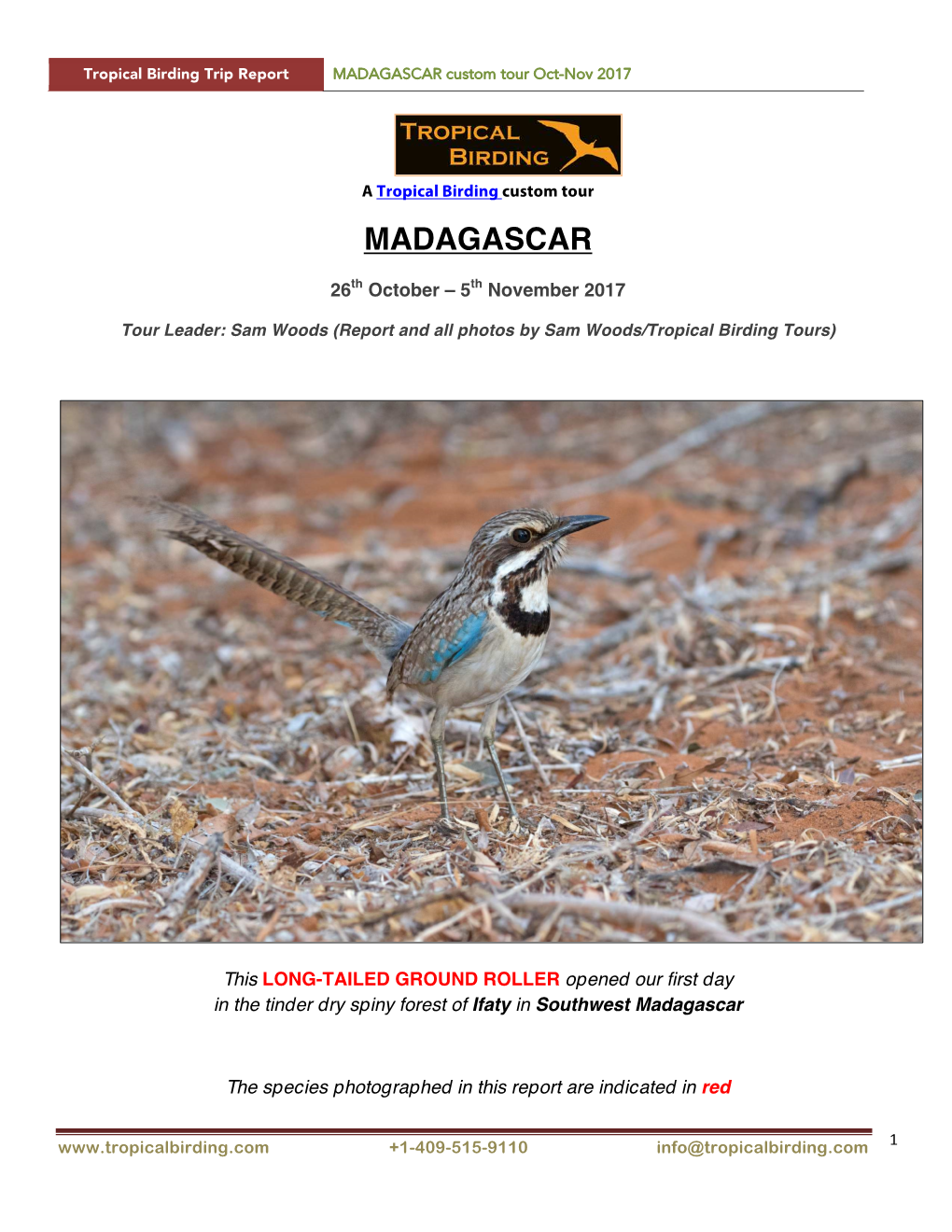 MADAGASCAR Custom Tour Oct-Nov 2017