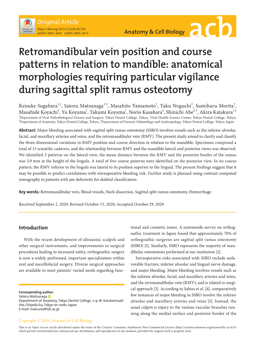 Retromandibular Vein Position and Course