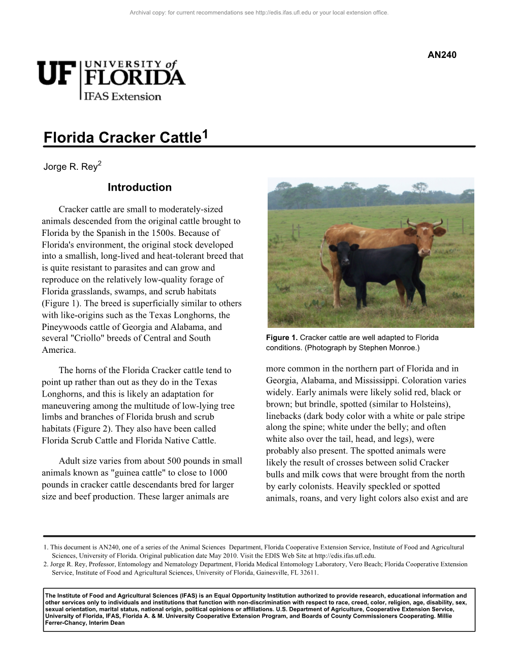 Florida Cracker Cattle1