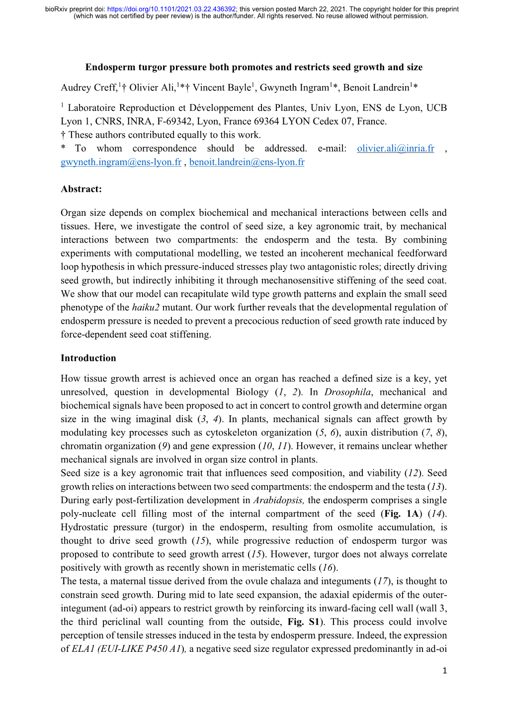 Endosperm Turgor Pressure Both Promotes and Restricts Seed Growth and Size