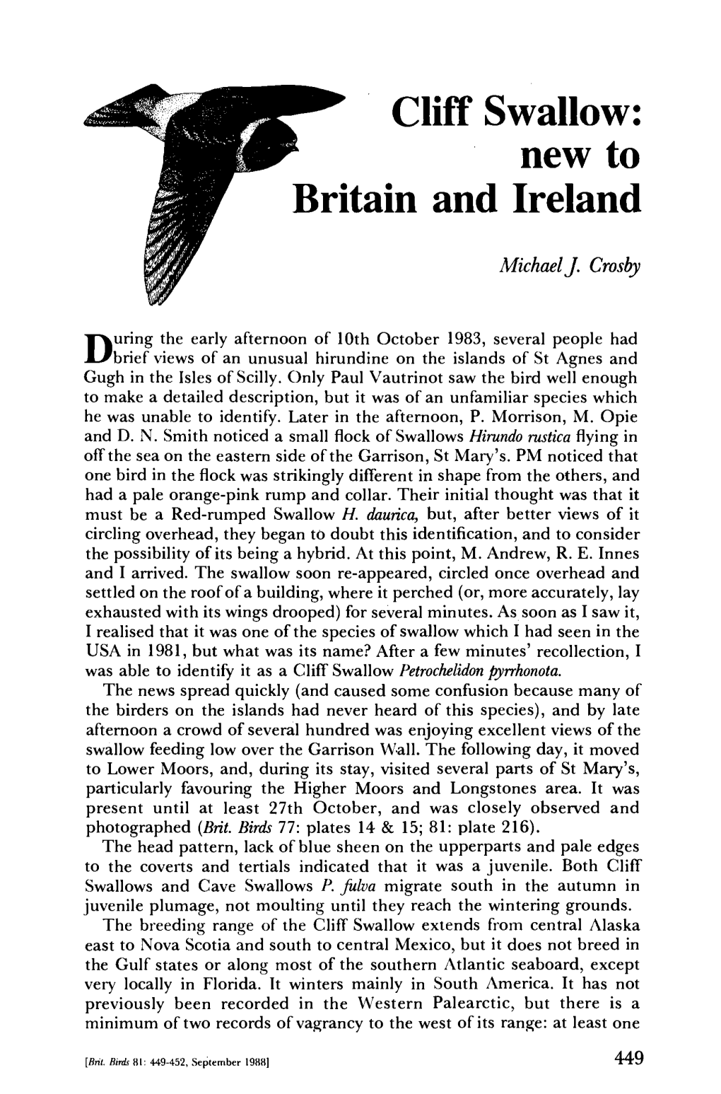 Cliff Swallow: New to Britain and Ireland