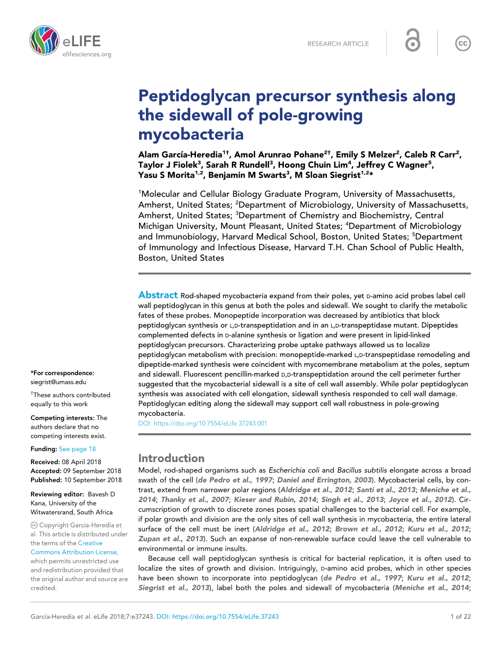 Peptidoglycan Precursor Synthesis Along the Sidewall of Pole-Growing Mycobacteria