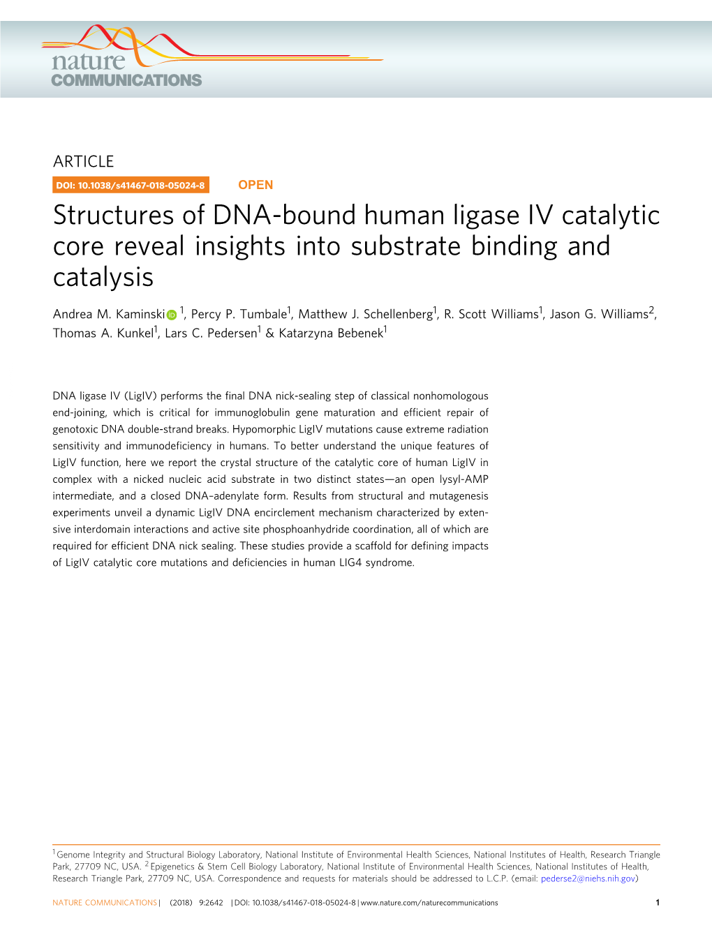 Structures of DNA-Bound Human Ligase IV Catalytic Core Reveal Insights Into Substrate Binding and Catalysis