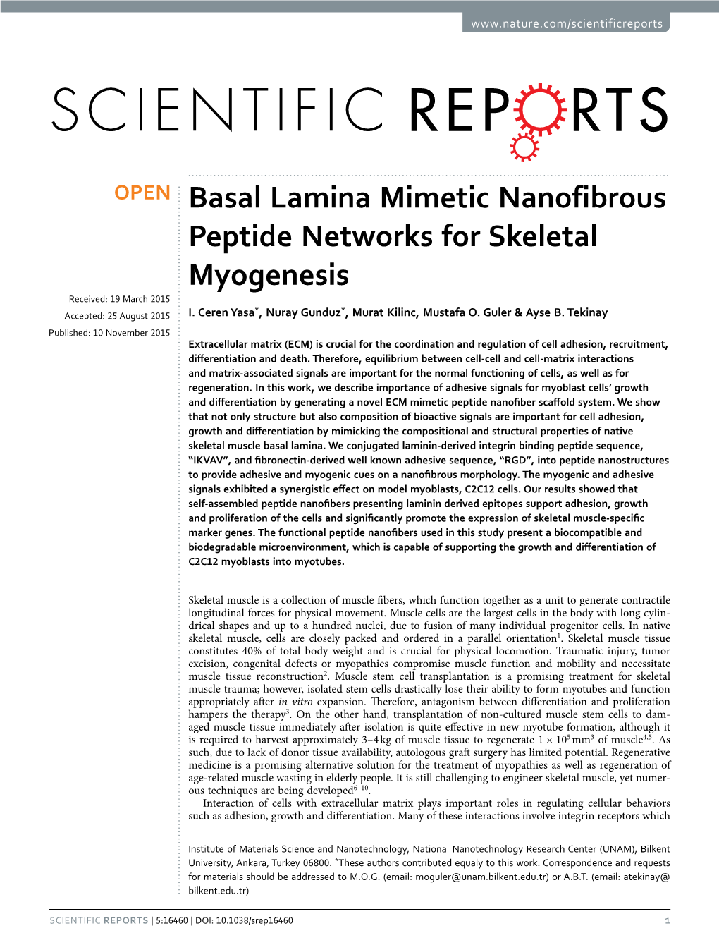 Basal Lamina Mimetic Nanofibrous Peptide Networks for Skeletal Myogenesis Received: 19 March 2015 * * Accepted: 25 August 2015 I