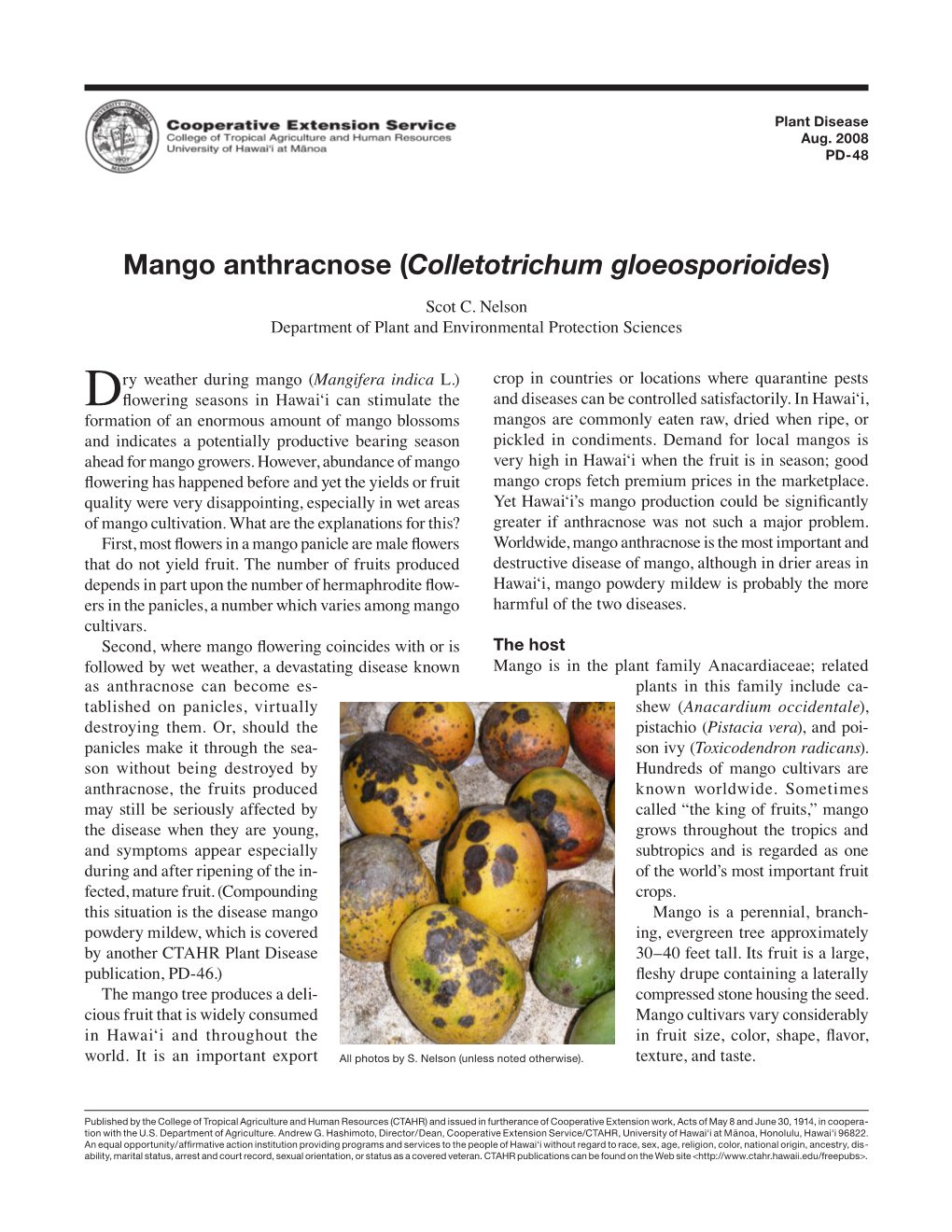 Mango Anthracnose (Colletotrichum Gloeosporioides)