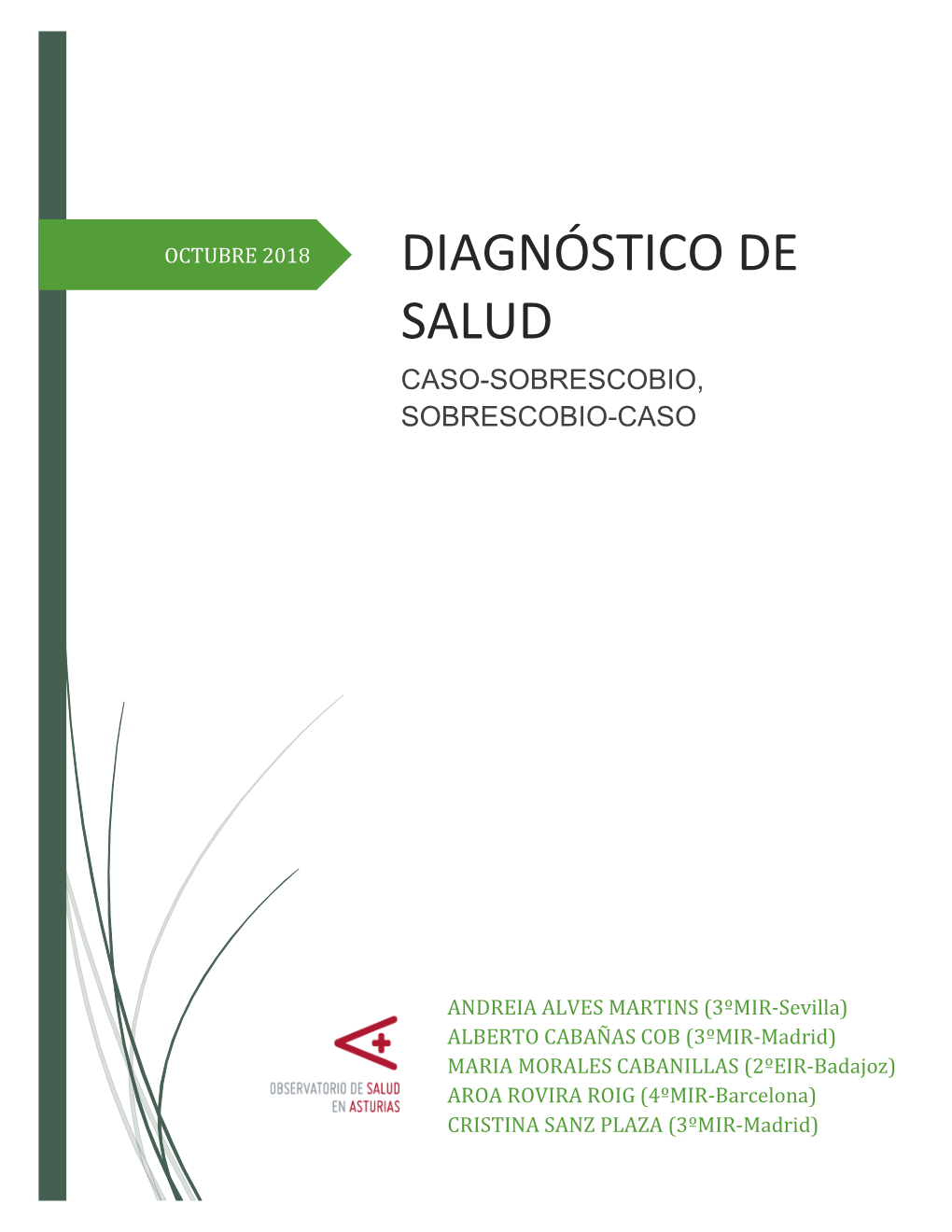 Diagnóstico De Salud De Caso Y Sobrescobio